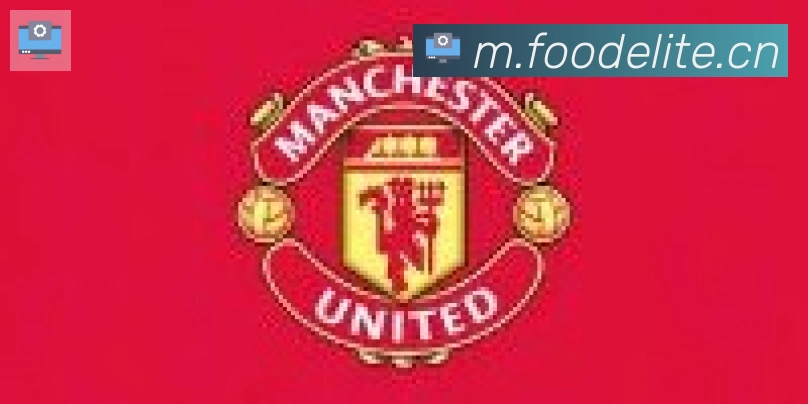 九游网页版登录入口合作伙伴