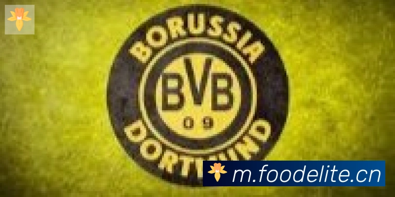 九游网页版登录入口合作伙伴